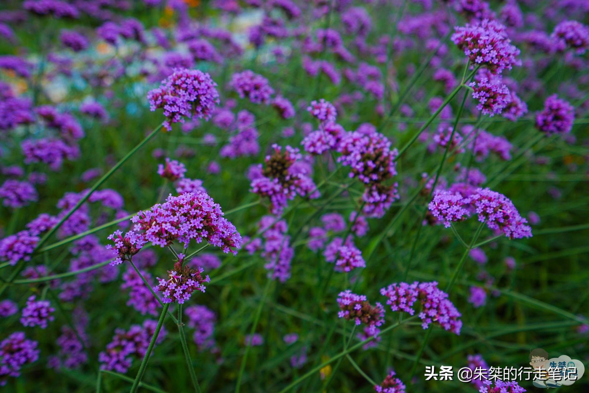 安徽不可思议的地方,安徽最边缘的县