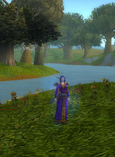 魔兽世界加摩尔变身玩具怎么获得,魔兽世界有哪些可以变身的道具