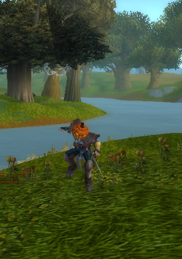 魔兽世界加摩尔变身玩具怎么获得,魔兽世界有哪些可以变身的道具