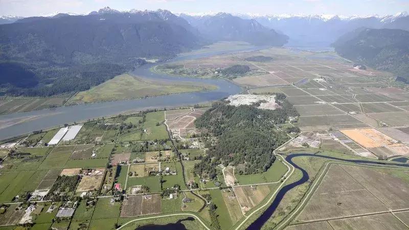 大温的“远东”：在枫树岭皮特草原们生活是怎样的感受？