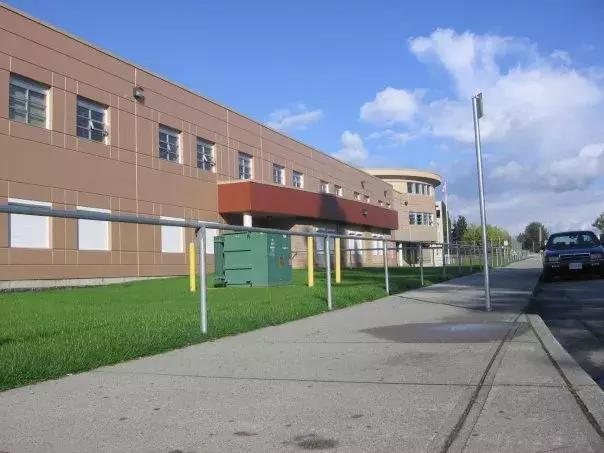 大温的“远东”：在枫树岭皮特草原们生活是怎样的感受？