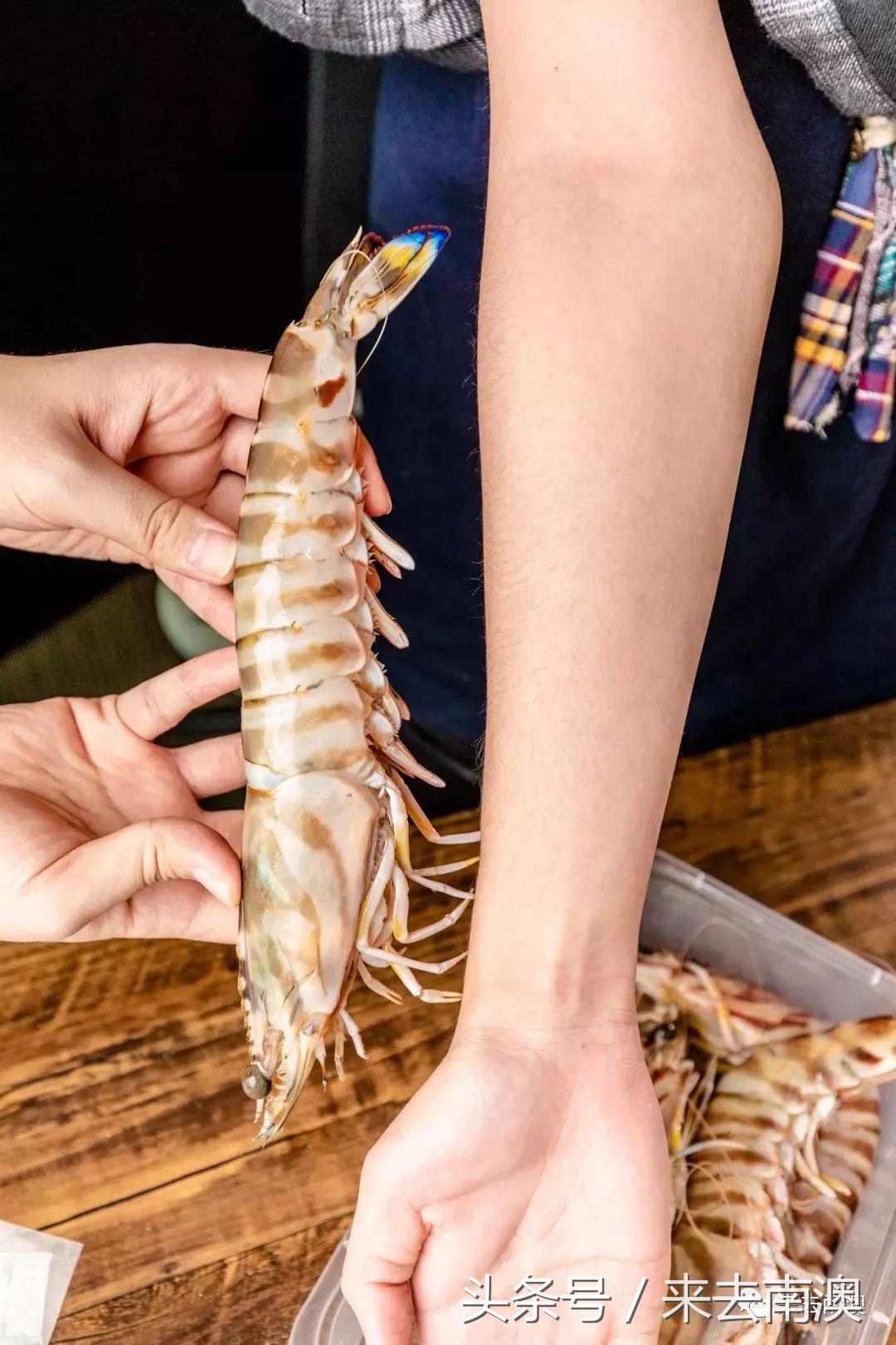 南澳岛寄来一个海鲜大箱，然后朋友圈的人纷纷把她屏蔽了