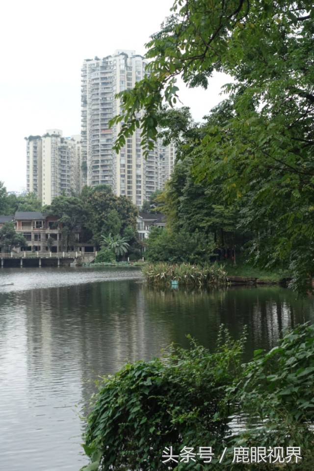 重庆龙湖最漂亮的楼盘,重庆龙湖花园老照片