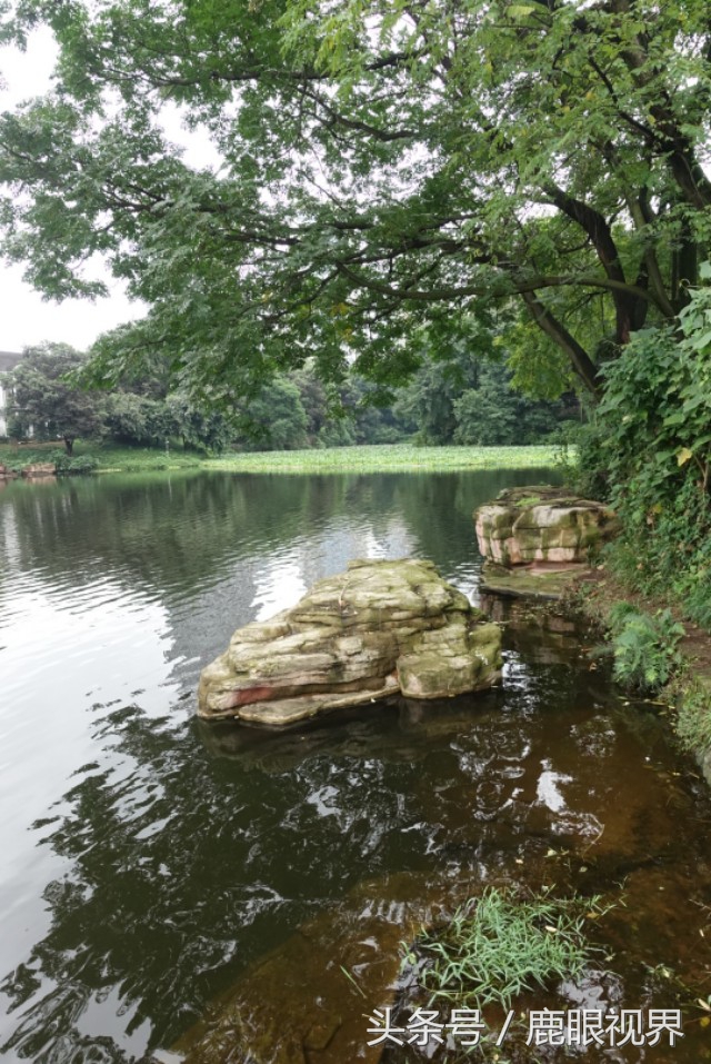 重庆龙湖最漂亮的楼盘,重庆龙湖花园老照片