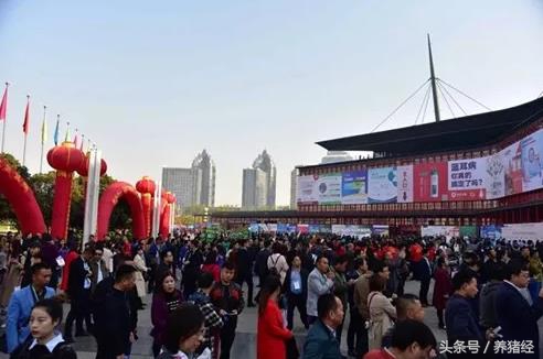 2024李曼养猪大会主要内容,李曼养猪大会和畜博会有什么区别