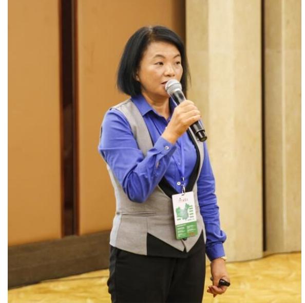 蜂窝纸芯标准图,蜂窝纸芯生产介绍