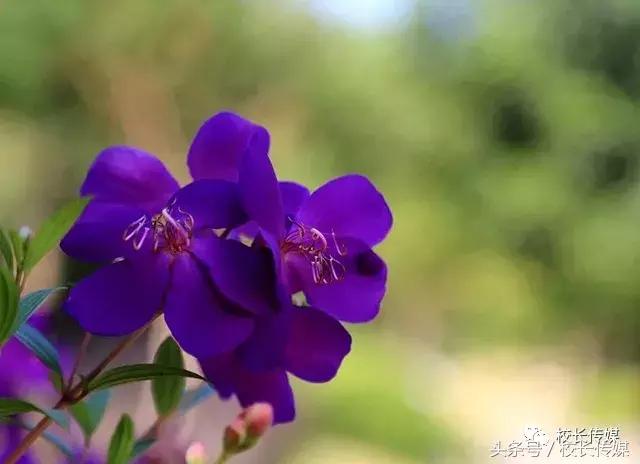 课堂上没听懂老师讲了怎么办,学生听不懂老师讲课该怎么办