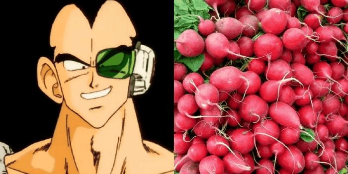 关于赛亚人，你不知道的15件事！