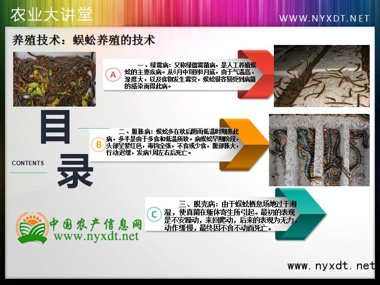 蜈蚣养殖失败的经验总结,蜈蚣养殖关键技术有哪些