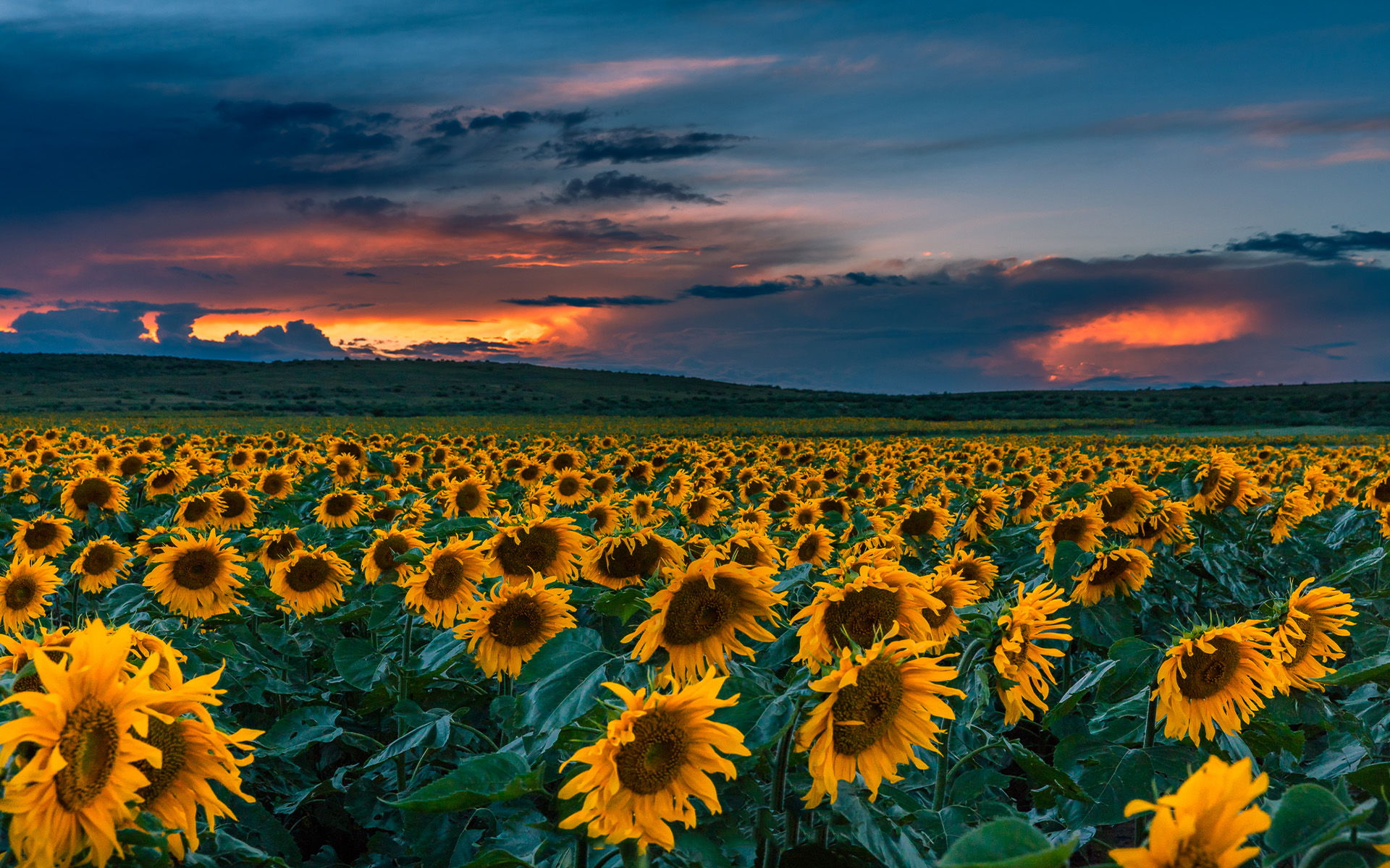 三十六计口诀全集,欲擒故纵是三十六计中第二十六计