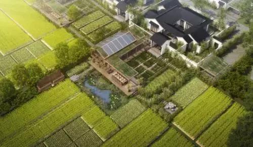 蓝城为什么叫蓝城,蓝城为什么能快速扩张