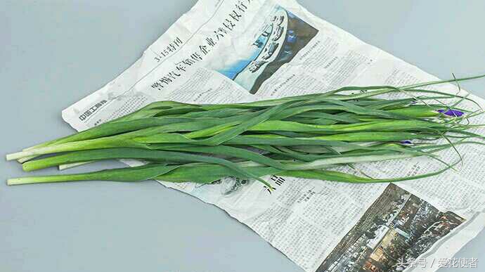 鲜花萎蔫的根本原因是什么,买回来两天鲜花就萎蔫了怎么补救