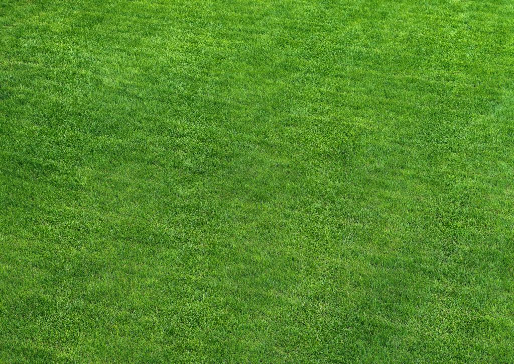 《我的团长我的团》第52、53、54章（兰晓龙著小说）