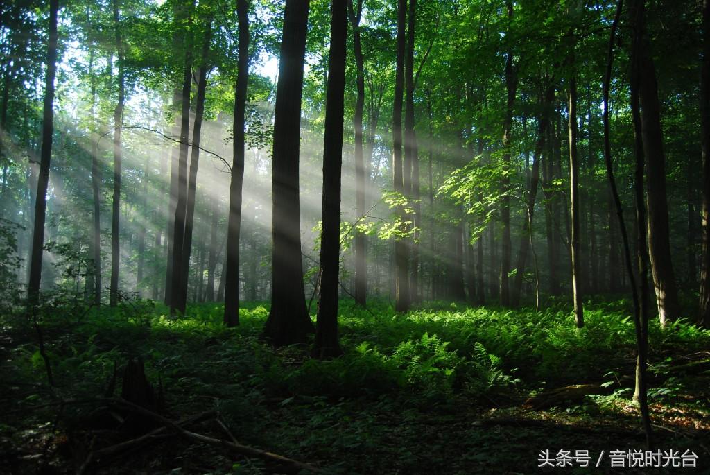 烦恼时听听音乐,烦恼时听听音乐动起来