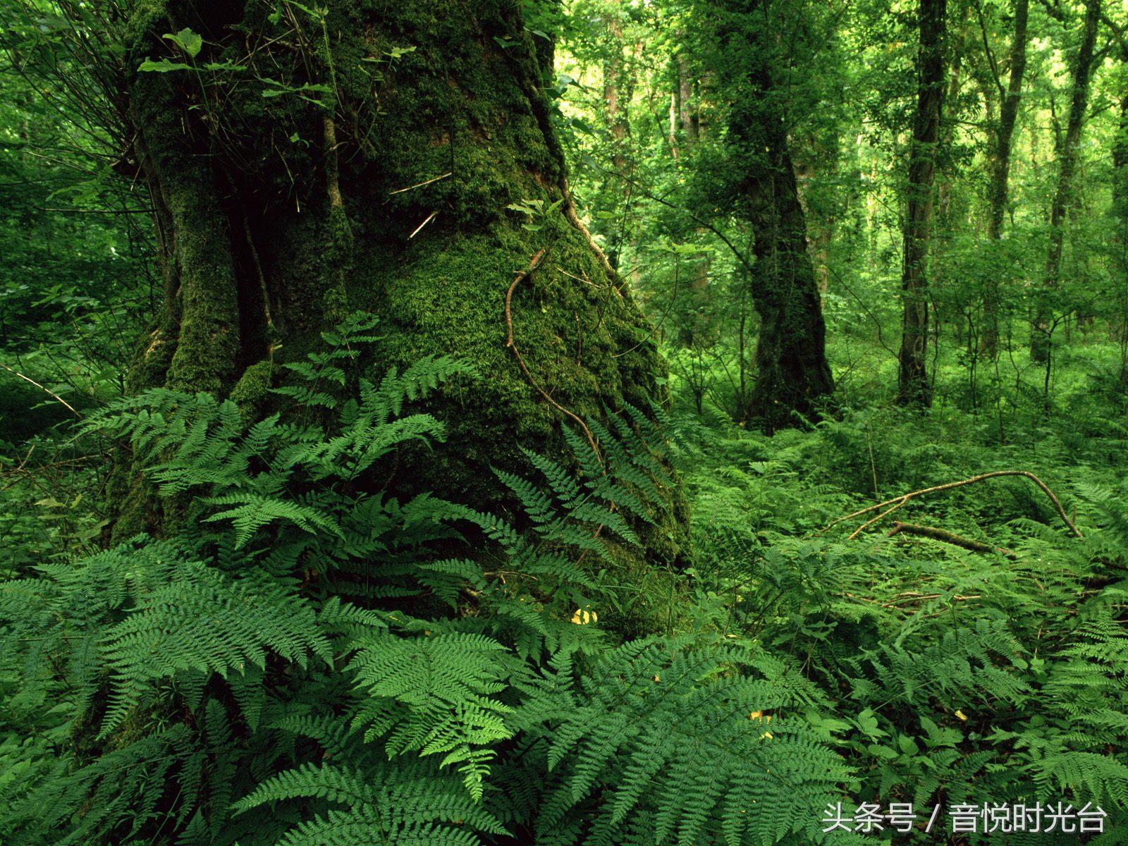 烦恼时听听音乐,烦恼时听听音乐动起来