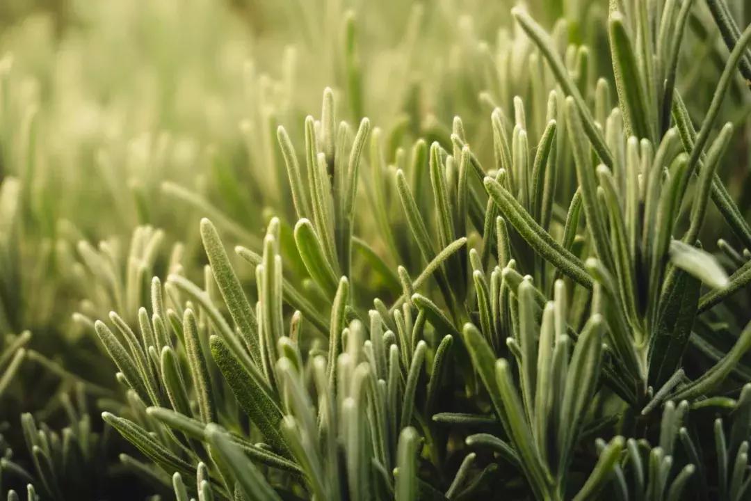 你的眼睛上当了！摄影这个*子骗**横行的世界！