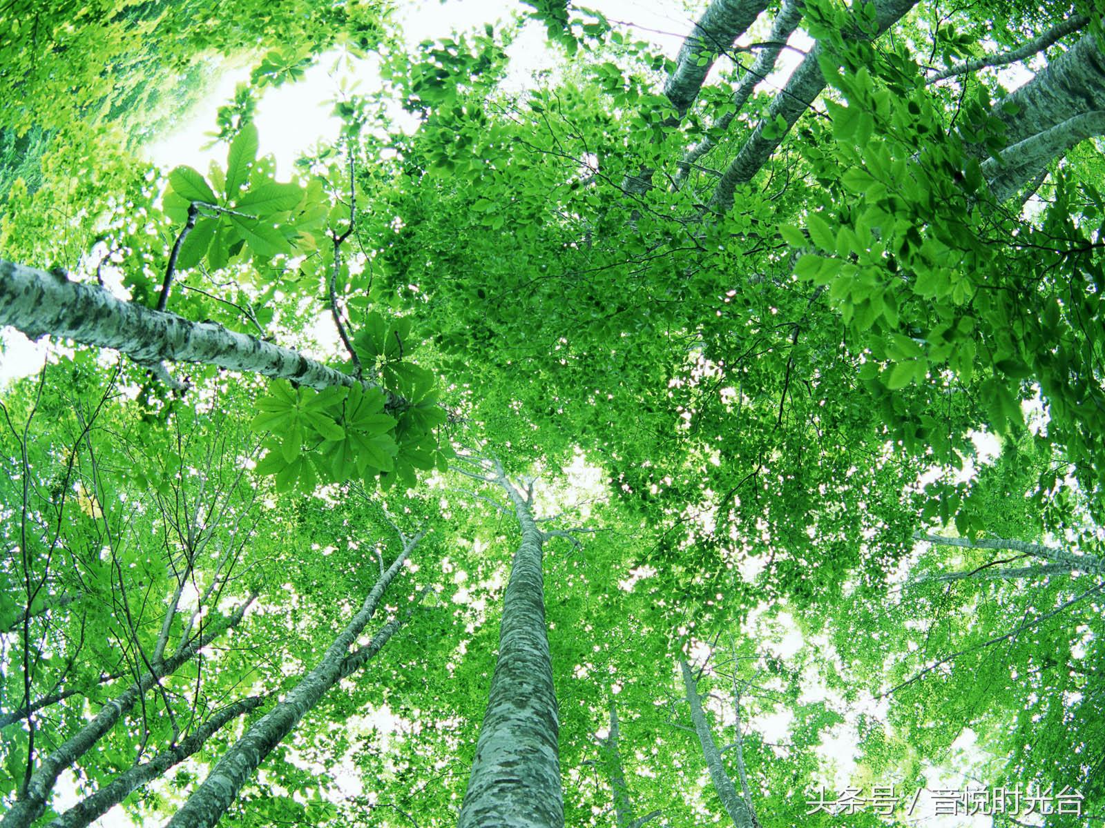 烦恼时听听音乐,烦恼时听听音乐动起来