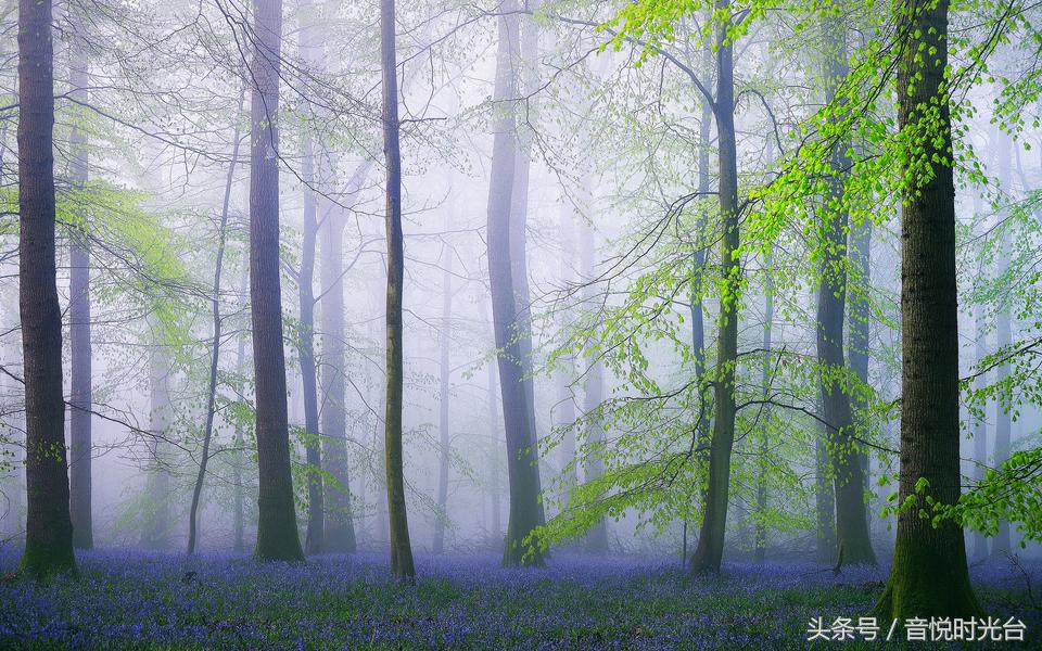 烦恼时听听音乐,烦恼时听听音乐动起来