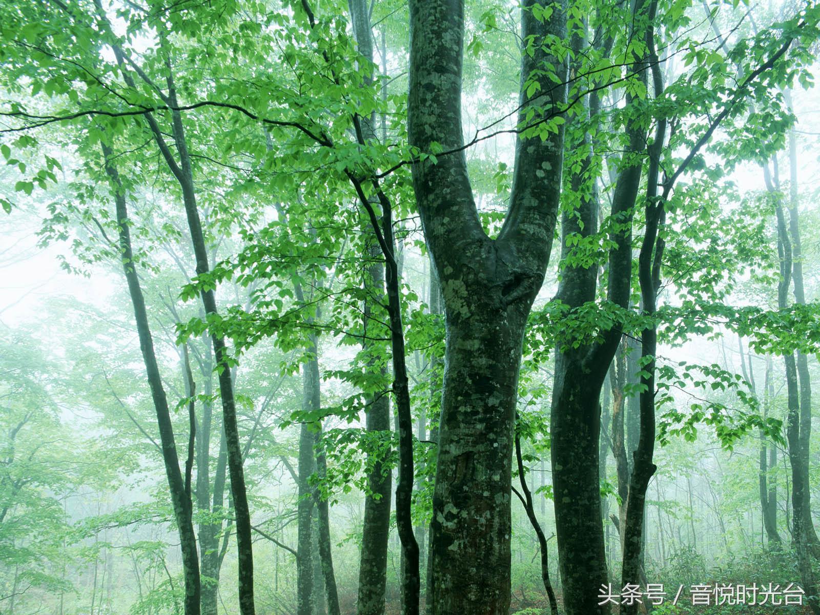 烦恼时听听音乐,烦恼时听听音乐动起来