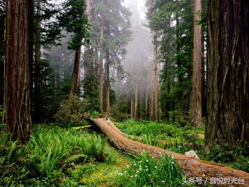 烦恼时听听音乐,烦恼时听听音乐动起来