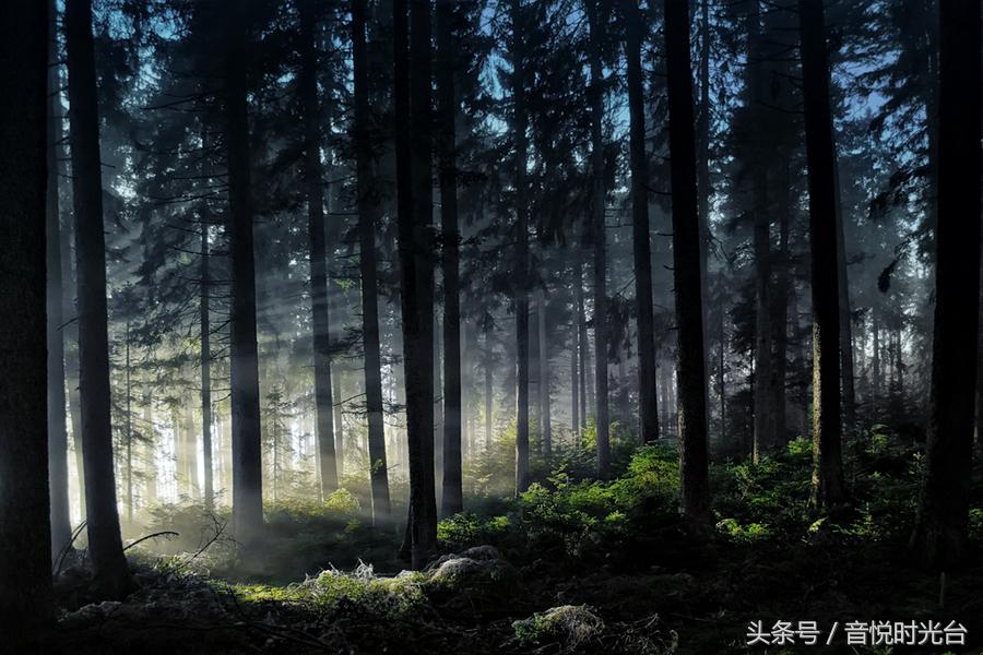 烦恼时听听音乐,烦恼时听听音乐动起来