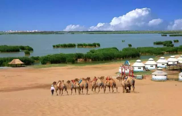 青海一号公路自驾游最佳路线,最轻松青海大环线自驾游路线图