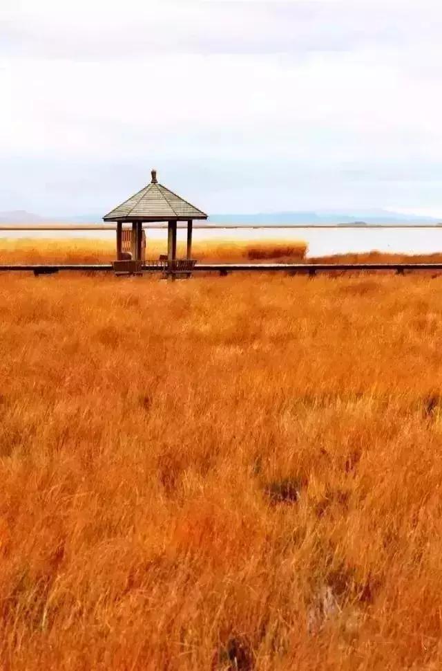 青海一号公路自驾游最佳路线,最轻松青海大环线自驾游路线图