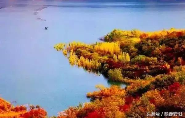 河南红叶最佳观赏时间表,河南看红叶最好的地方