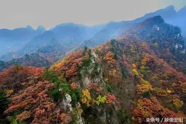 河南红叶最佳观赏时间表,河南看红叶最好的地方