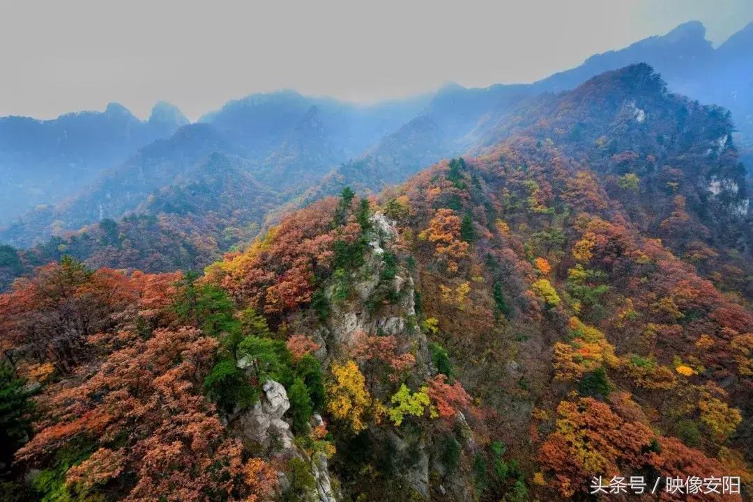 河南红叶最佳观赏时间表,河南看红叶最好的地方