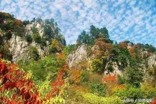 河南红叶最佳观赏时间表,河南看红叶最好的地方