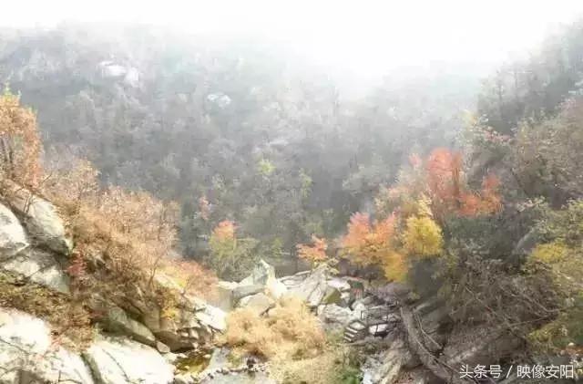 河南红叶最佳观赏时间表,河南看红叶最好的地方