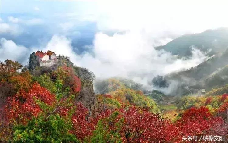 河南红叶最佳观赏时间表,河南看红叶最好的地方