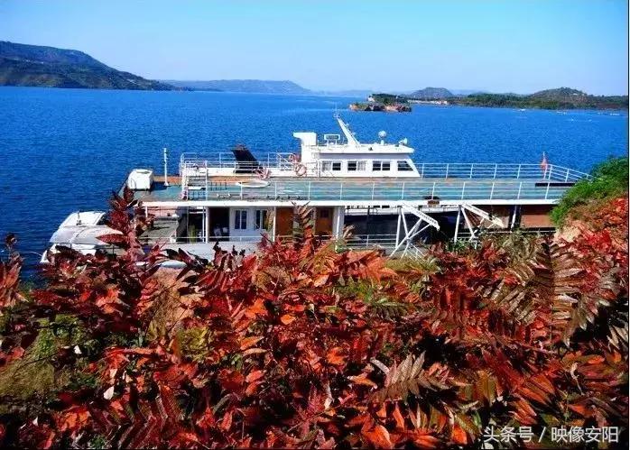 河南红叶最佳观赏时间表,河南看红叶最好的地方