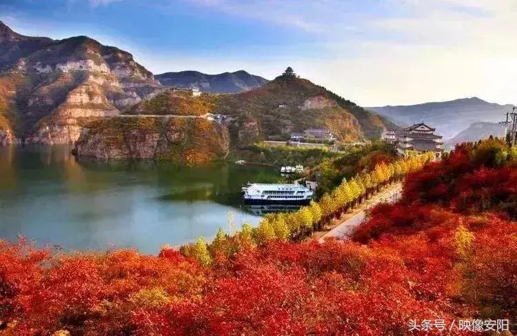 河南红叶最佳观赏时间表,河南看红叶最好的地方