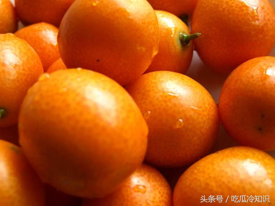 宝宝咳嗽喉咙痛吃什么,宝宝咳嗽化痰川贝冰糖雪梨