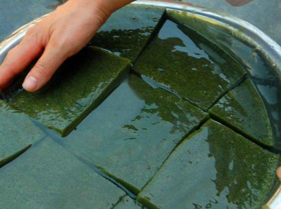 神仙树豆腐的制作方法,神仙树神仙豆腐