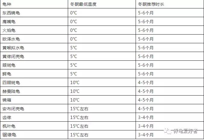 秋天降临，冬天近在咫尺，你的龟龟怕冷不？