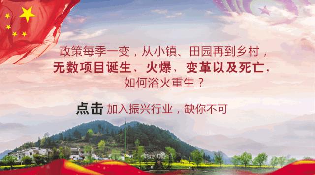 可以改善土壤板结的昆虫,环境昆虫