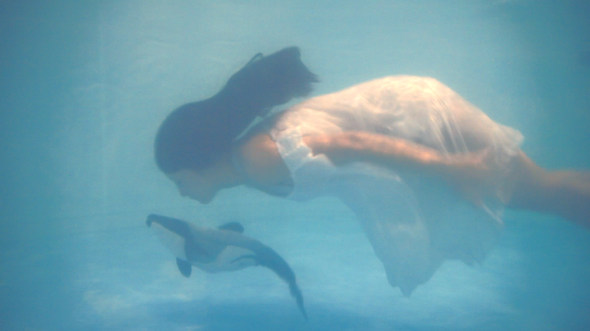 个人与宇宙,科技与宗教的连结——评上海MoCA新展“众妙之门”