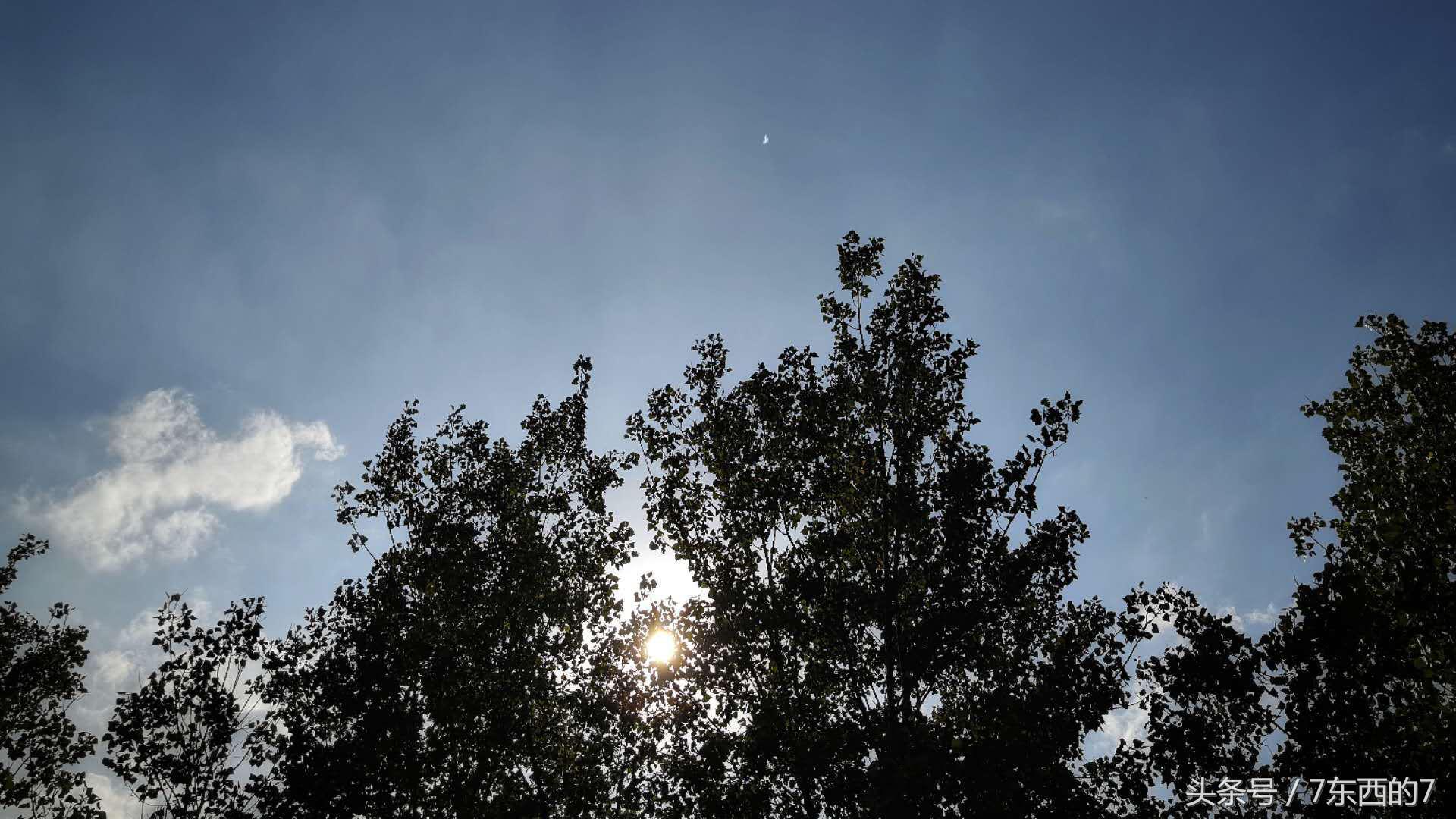 再见九丹完整版,再见九叔翻唱