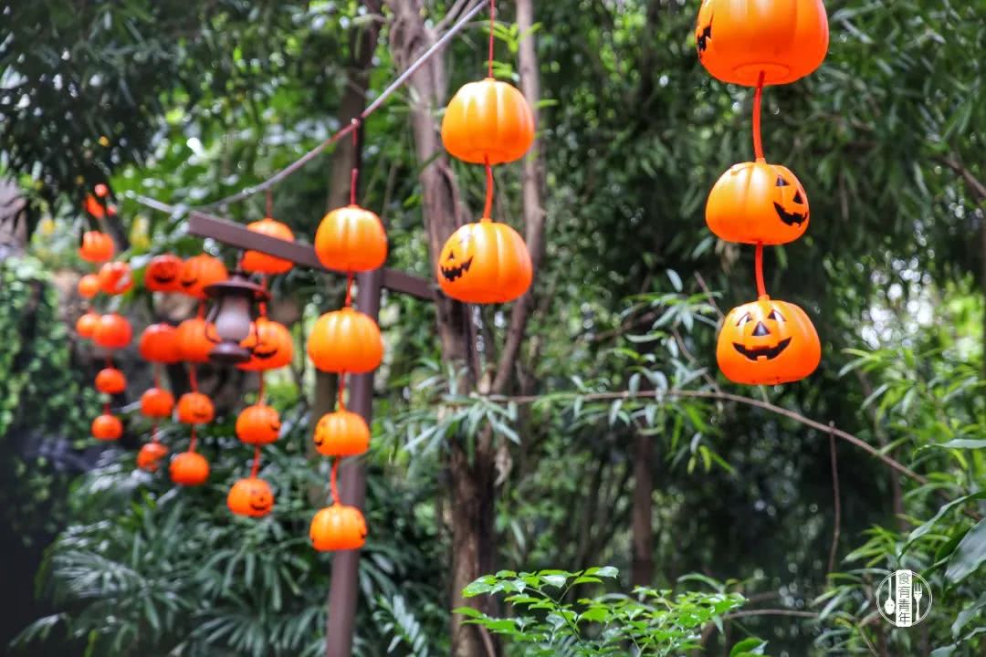 动物园万圣节里面有什么,万圣节动物王国