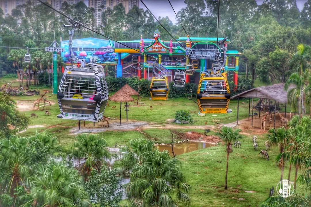 动物园万圣节里面有什么,万圣节动物王国