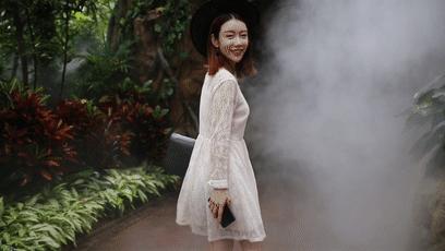 动物园万圣节里面有什么,万圣节动物王国