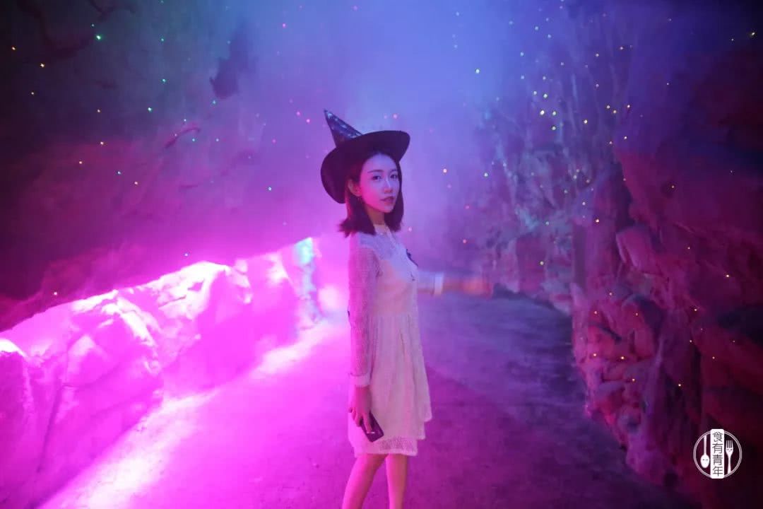 动物园万圣节里面有什么,万圣节动物王国