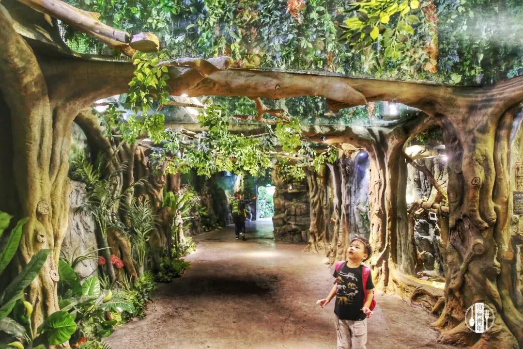 动物园万圣节里面有什么,万圣节动物王国