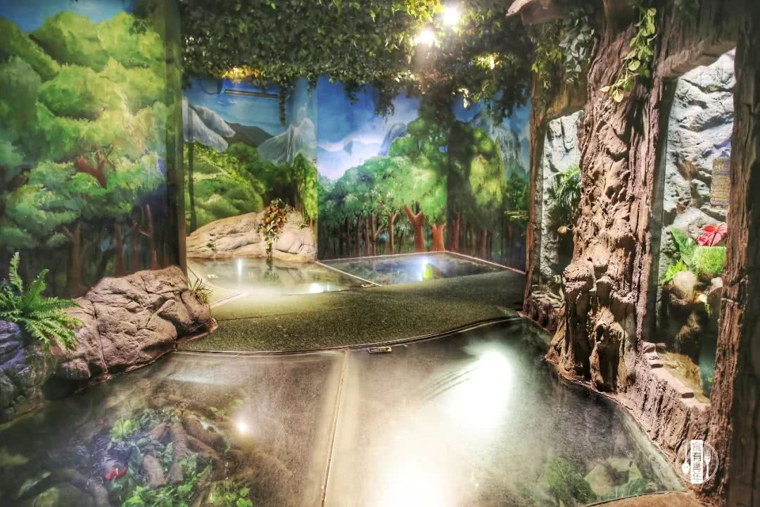 动物园万圣节里面有什么,万圣节动物王国