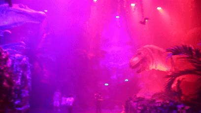 动物园万圣节里面有什么,万圣节动物王国