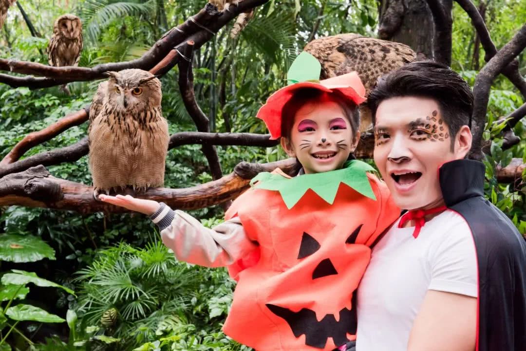 动物园万圣节里面有什么,万圣节动物王国
