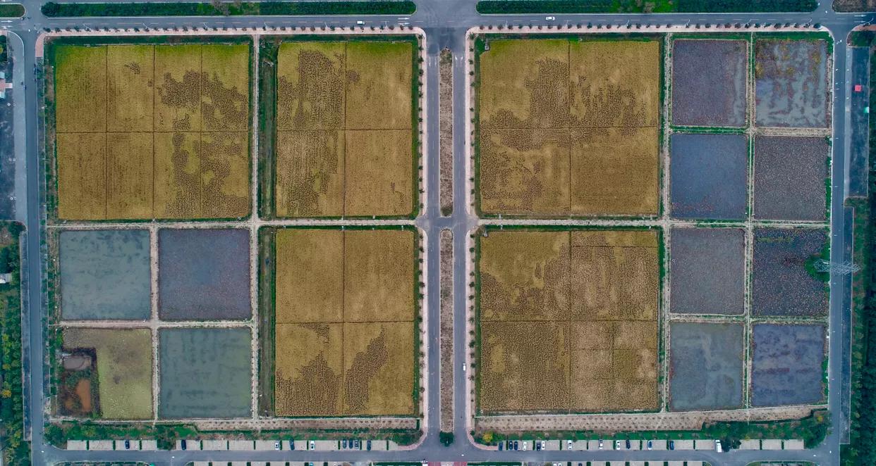 济南章丘石河店铁锅,济南章丘铁锅农家乐